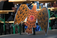 SAM_0047